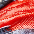 Everything You Need to Know About Salmon-Like Fish