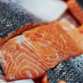 Environmental Concerns of Farmed Salmon